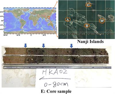 Assessing the changes in marine microalgae diversity in the Nanji Islands Nature Reserve over the past decades using sediment eDNA